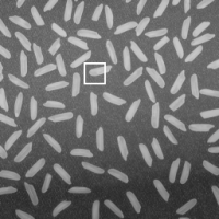 Une image numérique en niveaux de gris