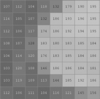 riceRectCropValues