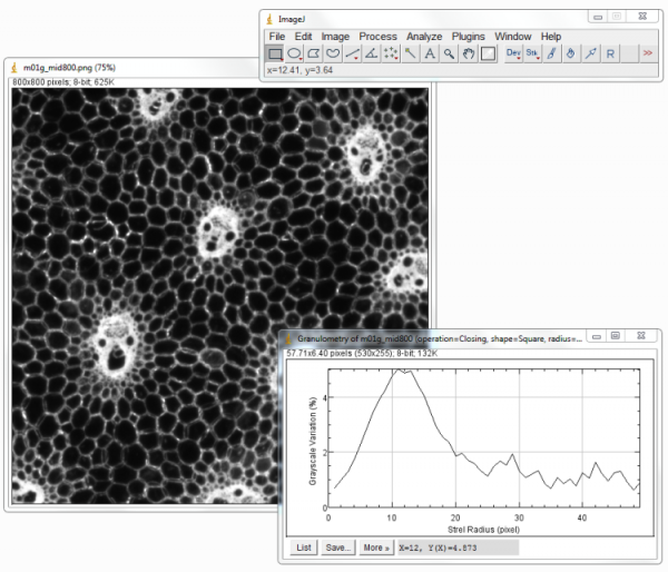 logiciel ijGranulometry