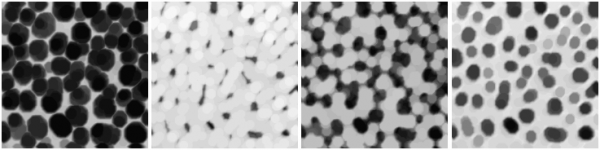 MorphoLibJ-filtering.png