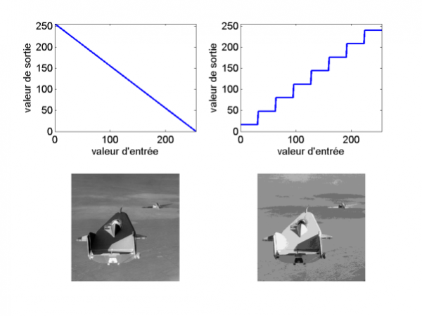 Application de deux tables de correspondances (LUT) sur l'image de départ : une inversion, et une re-quantification sur 8 niveaux de gris.
