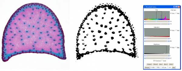 Segmentation d'une image couleur avec le plugin ColorThreshold sous ImageJ