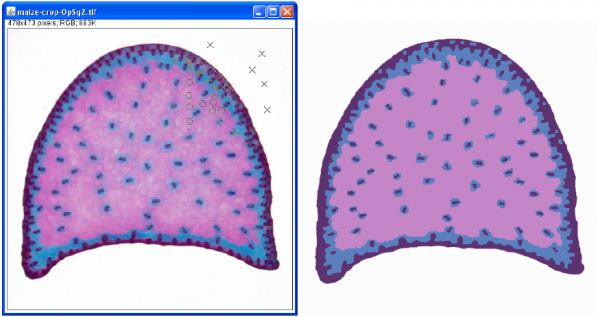 Segmentation d'une image couleur par la méthode des k-means sous ImageJ